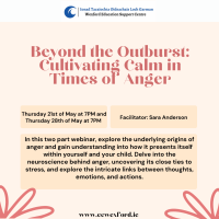 Beyond the Outburst: Cultivating Calm in Times of Anger (Session 1 of 2) 