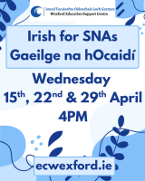 Irish for SNAs (Gaeilge na hOcaidí)